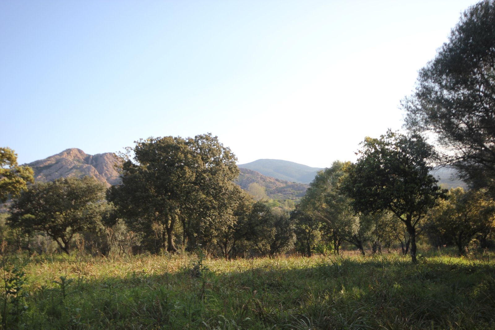 TERRAIN